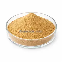 Poudre de fruit d’anis, poudre fine, jaune clair à brun RM0000475