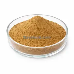 Extracto de yerba mate 10:1 polvo fino marrón amarillo RM0000483