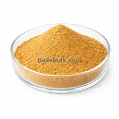 Dandelion root extract 10:1 brown yellow fine powder RM0000493
