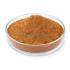Black Cohosh Extract 10:1 brown yellow fine powder RM0000494