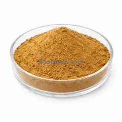 Irish Moss extract 10:1 (Chondrus crispus) brown yellow fine powder RM0000506
