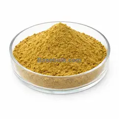 Estratto di verga d'oro 10:1 polvere fine giallo-marrone RM0000518