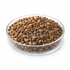 Milk Thistle FRUIT raw material, product code RM0000523