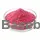 Barbary Fig Extract 10:1 pink red powder RM0000438
