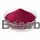 Lingonberry extract 10:1 purple red fine powder RM0000446