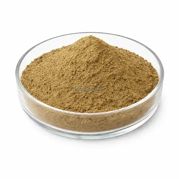 Senna leaf extract (Sennoside 10%) main product image