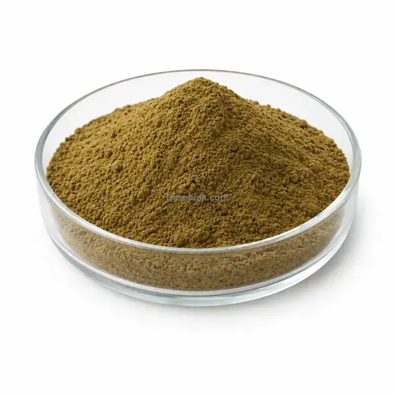 Bacopa Monnerri Extract 50% Bacoside RM0000182 main product image