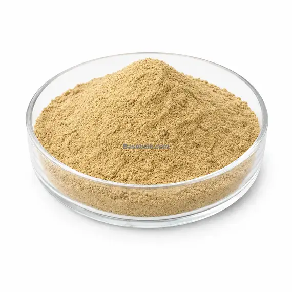 Nettle extract 4:1 main product image