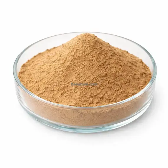 Black Elder Flower Extract 10:1 powder RM0000435