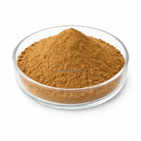 Flaxseed (Linum usitatissimum) extract 10:1 main product image