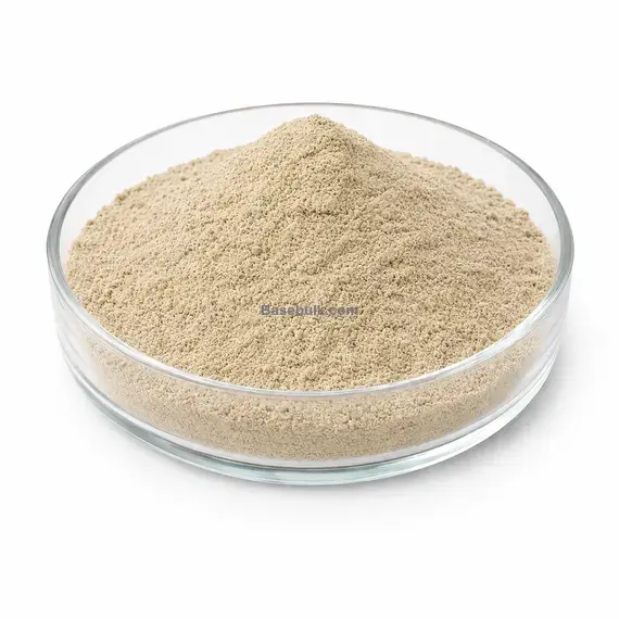 Brewer's Yeast (Saccharomyces cerevisiae) Powder RM0000528