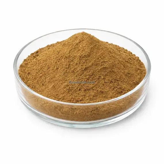 Sambucus Nigra Flowers extract 10:1 main product image