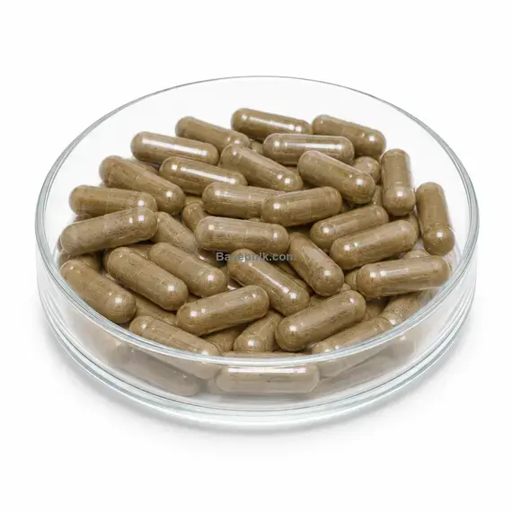 Mugwort (Artemisia vulgaris) 1000mg capsule food supplement, 1000 capsules
