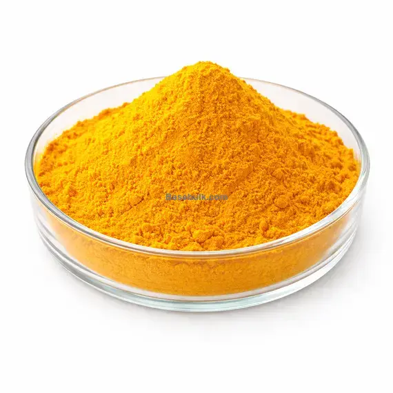 Turmeric Powder RM0000025 bulk ingredient main product image