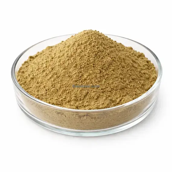 Echinacea Extract 10:1 brown yellow fine powder RM0000059