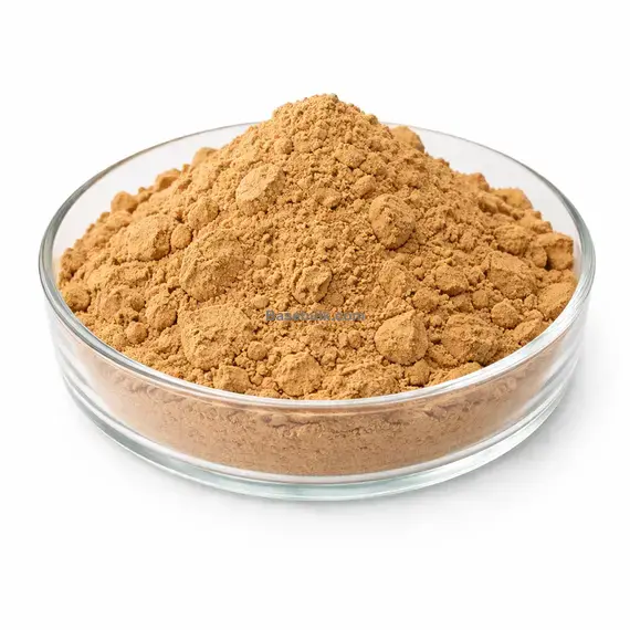 Ginger Root Extract 20:1 brown yellow fine powder RM0000103