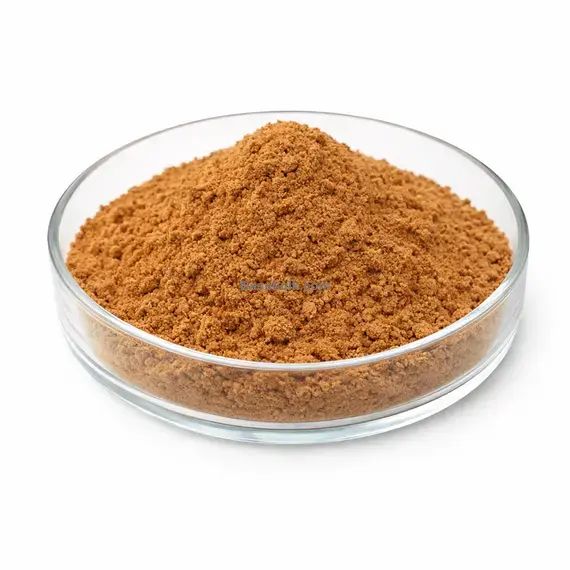 Guarana Extract 4:1 brown powder, RM0000128 main product image