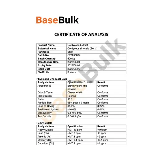 Cordyceps Extract (Cordyceps sinensis) 10:1 brown yellow fine powder