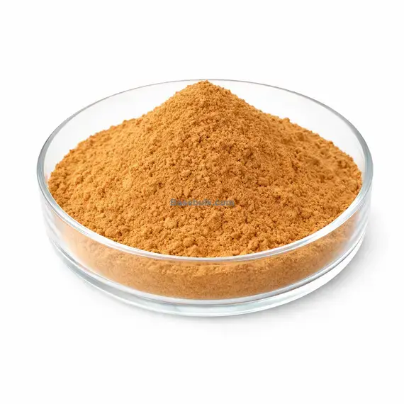 Aniseed Extract 10:1 brown yellow fine powder RM0000168