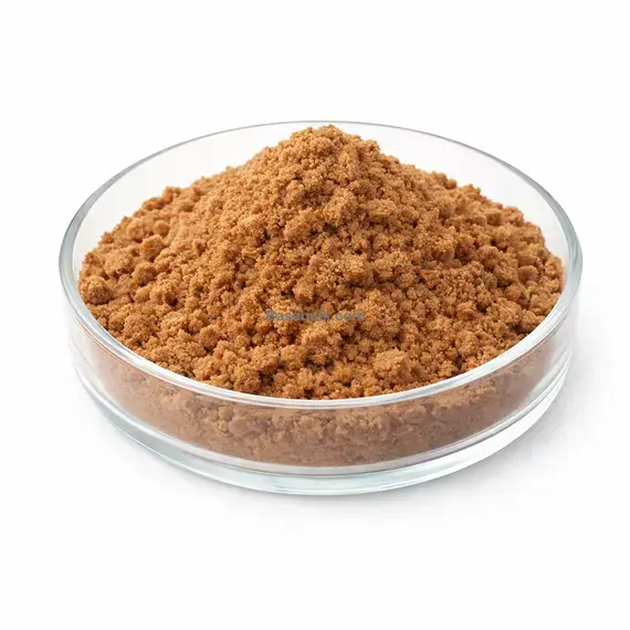 Wild Yam Extract 10:1 white powder food grade