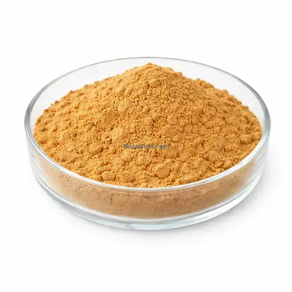Milk Thistle 50:1 powder, Silymarin >80%, RM0000194