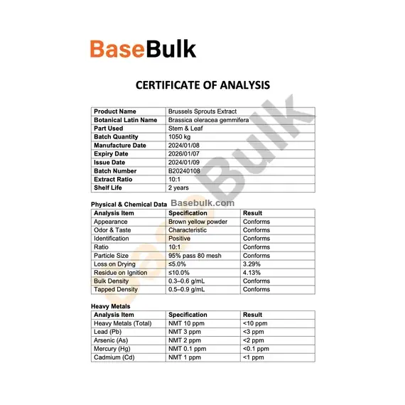 Brussels Sprouts Extract 10:1 specification sheet, RM0000214