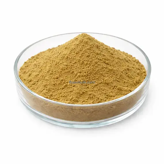 Alant Extract 10:1 brown yellow fine powder RM0000231