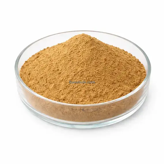 Garlic 100:1 extract brown yellow fine powder RM0000265