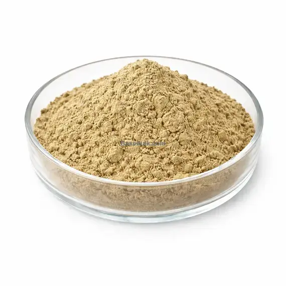 Artemisia Vulgaris 5:1 powder Mugwort Herb Ext RM0000276