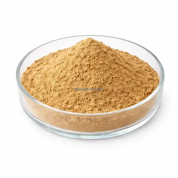 Bacopa Herb Extract 10:1 Bacopa Monnieri brown yellow fine powder