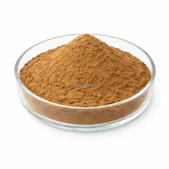 Rosehips extract 4:1 brown yellow fine powder RM0000306