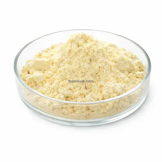 Soy Protein Isolate light yellow to off-white powder