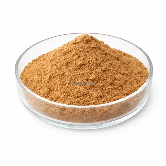 Reishi mushroom extract 10:1 brown yellow fine powder RM0000326