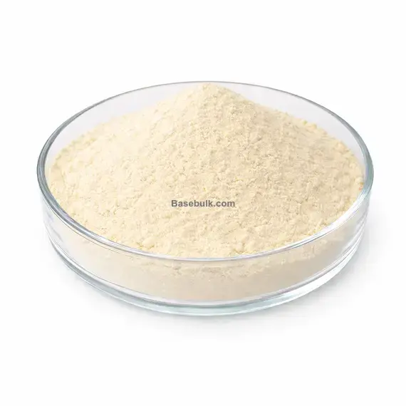 Bifidobacterium lactis 100B CFU/g powder RM0000339