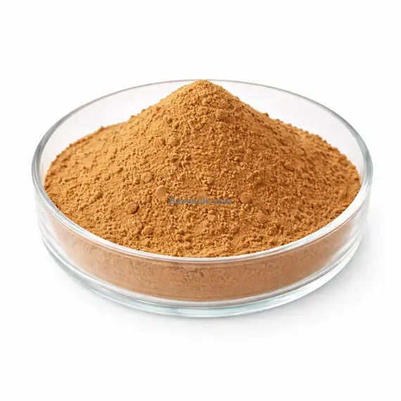 Elderberry fruit extract 10:1 brown yellow fine powder RM0000391