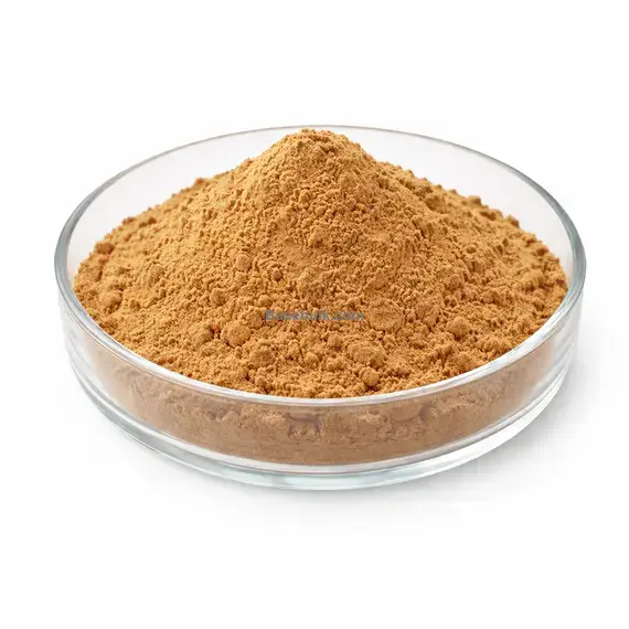 Chaga extract 10:1 brown yellow fine powder RM0000406