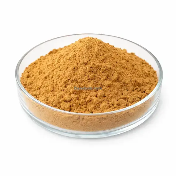 Artemisia Absinthium Extrakt 10:1 braun-gelbes feines Pulver RM0000415