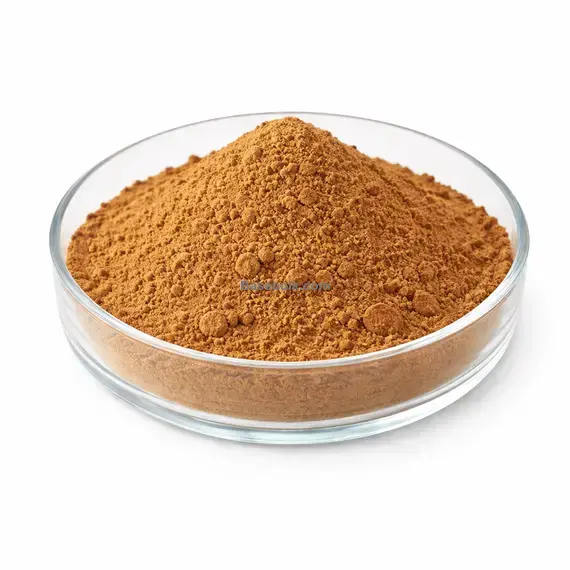 Birch leaves extract 10:1 fine powder Betula pendula RM0000445