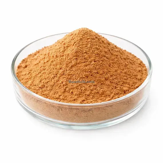 Bearberry extract 10:1 powder (Arctostaphylos uva-ursi) RM0000455