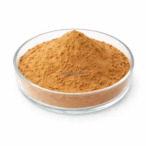 Shilajit (Mumio) Extract 10:1 brown fine powder RM0000462