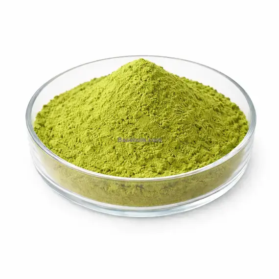 Kale Exctract 10:1 green yellow fine powder RM0000469