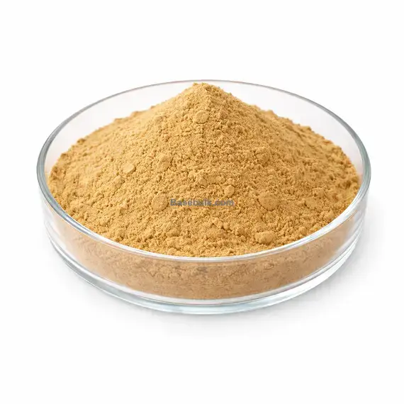 Anise Fruit Powder fine powder light yellow to brown RM0000475