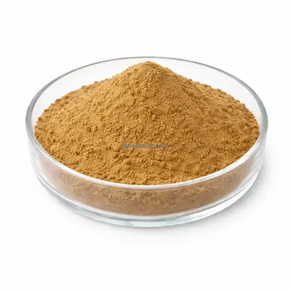 Yerba Mate Extract 10:1 brown yellow fine powder RM0000483
