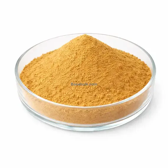 Dandelion root extract 10:1 brown yellow fine powder RM0000493
