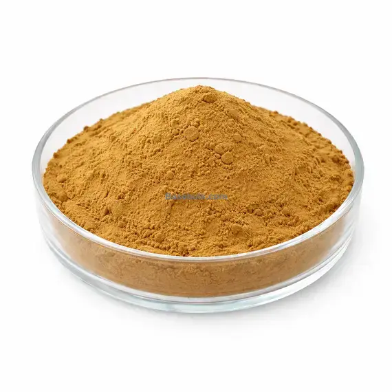 Irish Moss extract 10:1 (Chondrus crispus) brown yellow fine powder RM0000506