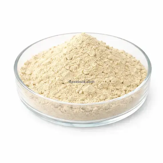 Topinambur (Helianthus tuberosus) powder RM0000510 main product image