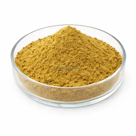 Goldenrod extract 10:1 brown yellow fine powder RM0000518