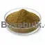 Bacopa Monnerri Extract 50% Bacoside RM0000182 main product image