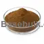 Black garlic extract (S-allylcystein 0.1%) main product image